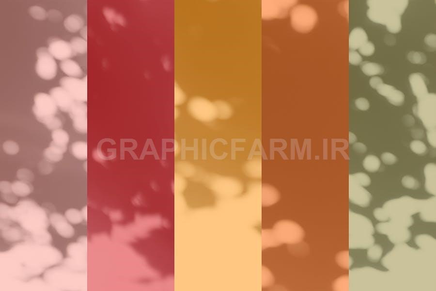 Botanical Sunbeams Shadow Overlays