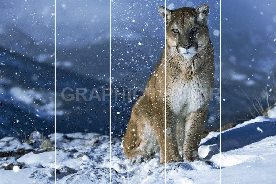 Real Snow Overlays