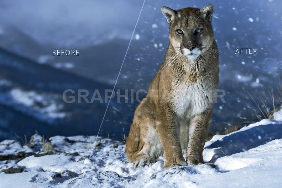 Snow Overlays