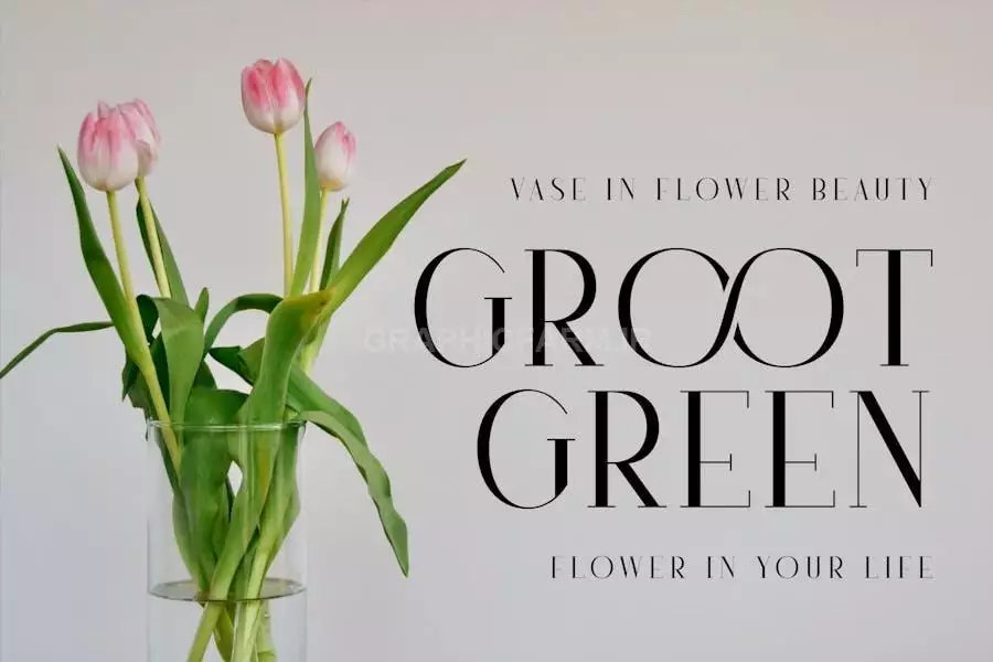 Dagilian A Serif Classic Font