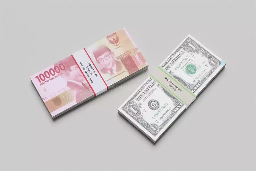 Money Mockup