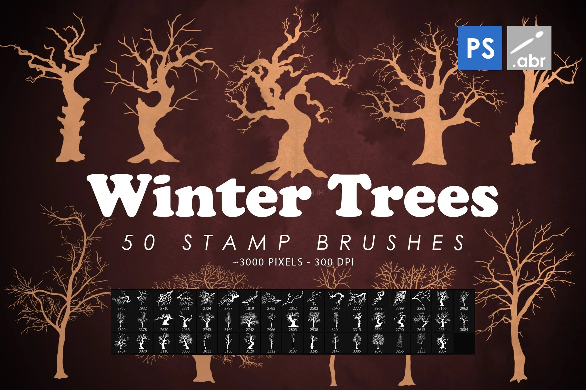 50 Winter Tree Branches Photoshop Stamp Brushes