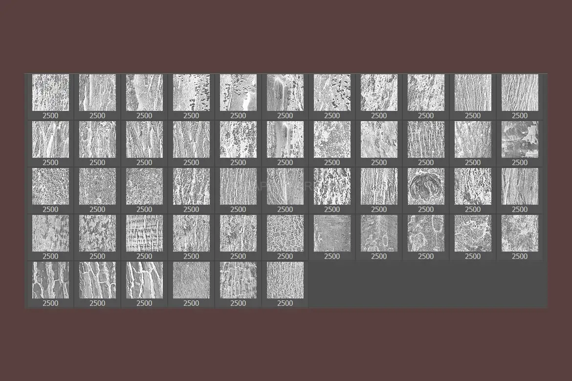 50 Tree Bark Photoshop Stamp Brushes
