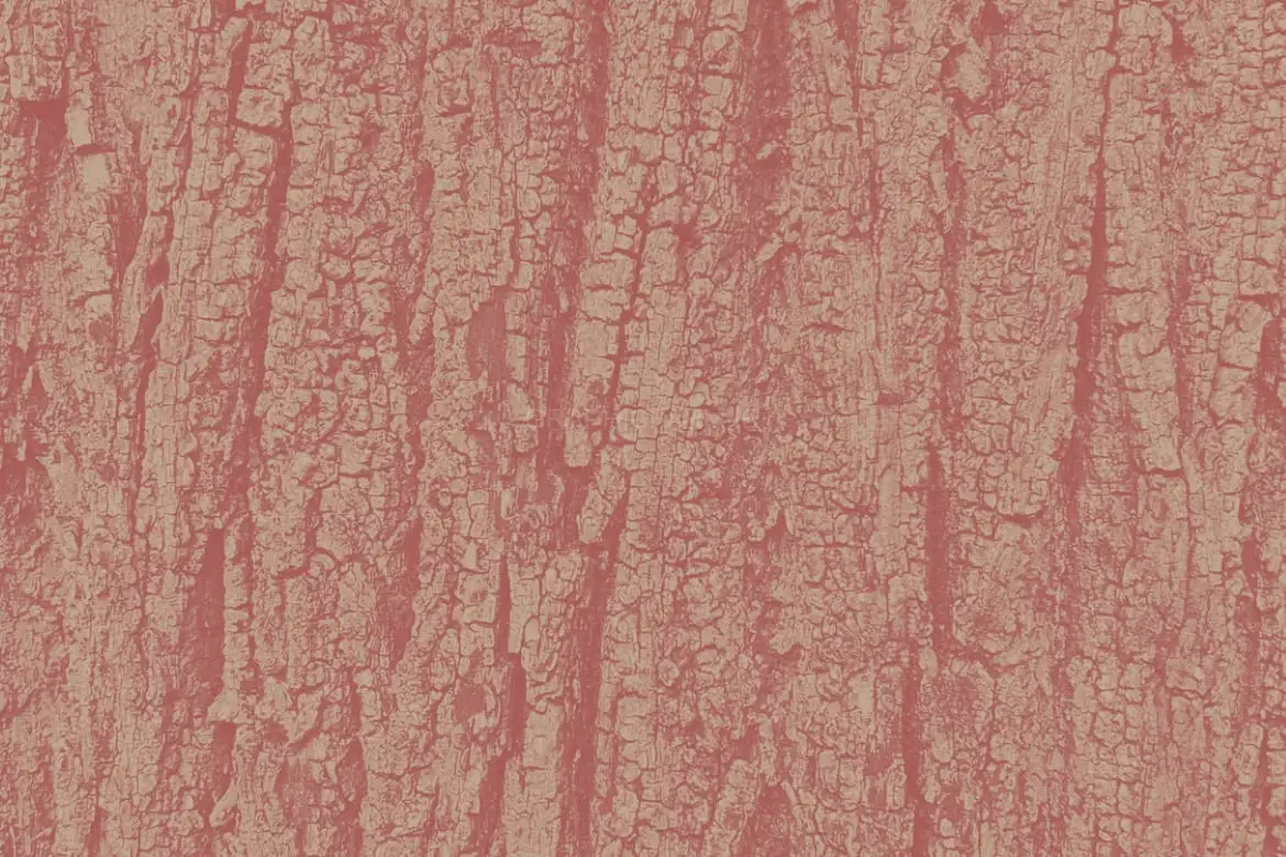 50 Tree Bark Photoshop Stamp Brushes