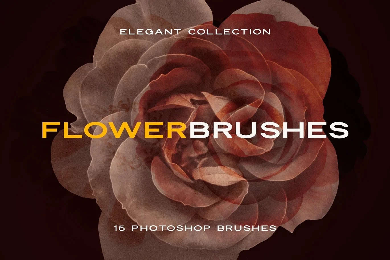 Elegant Flower Brushes For Photoshop
