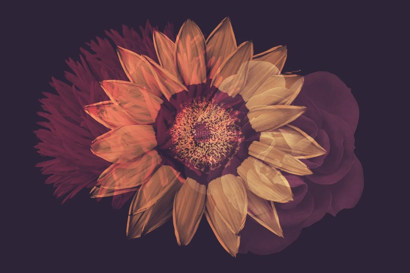 Elegant Flower Brushes For Photoshop