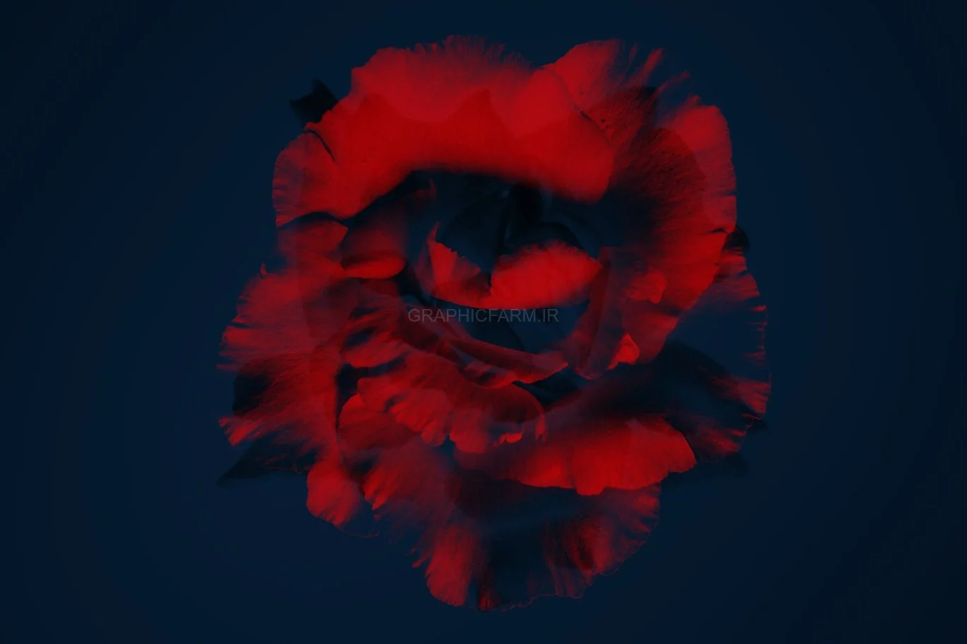 Elegant Flower Brushes For Photoshop