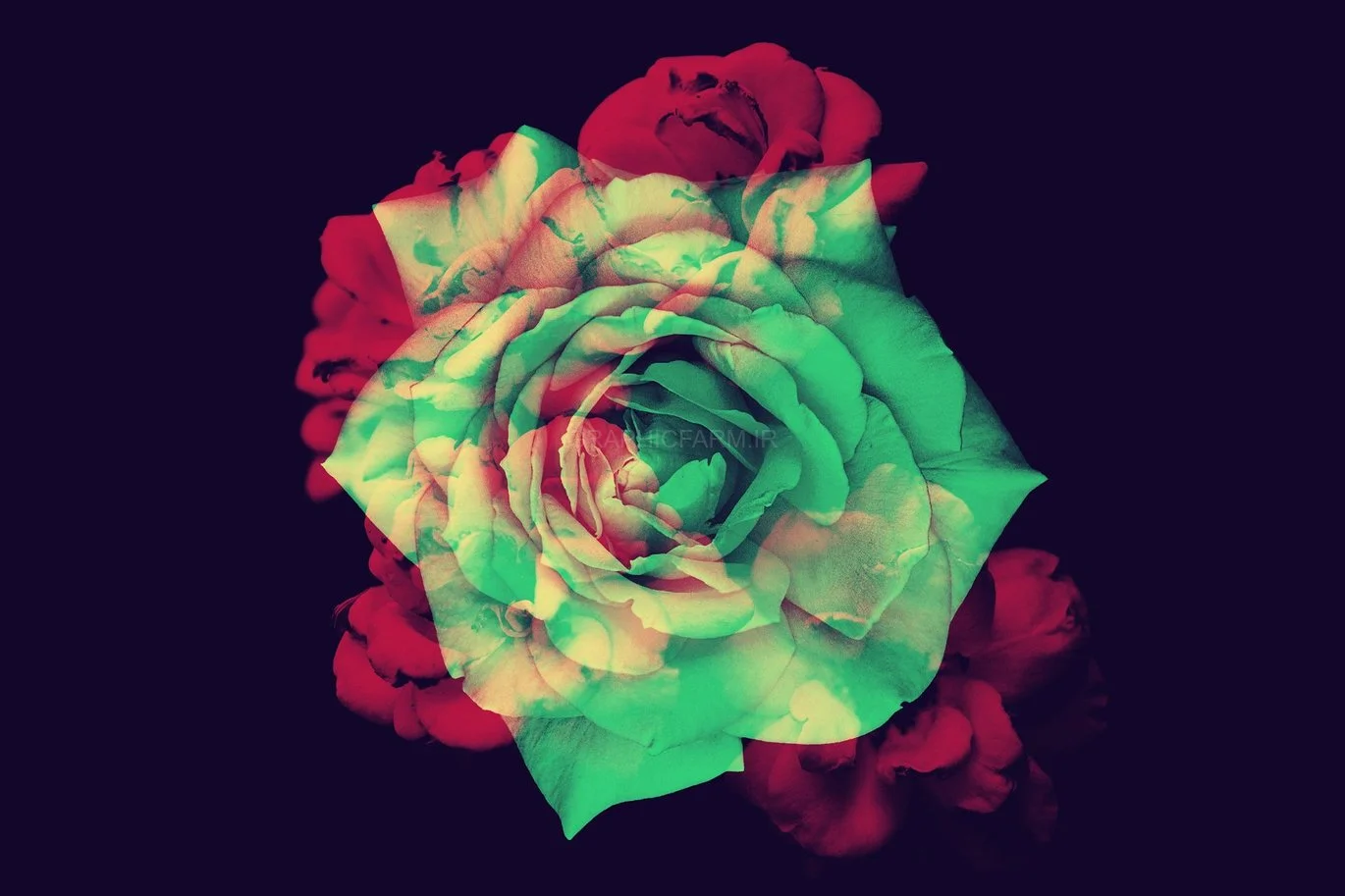 Elegant Flower Brushes For Photoshop