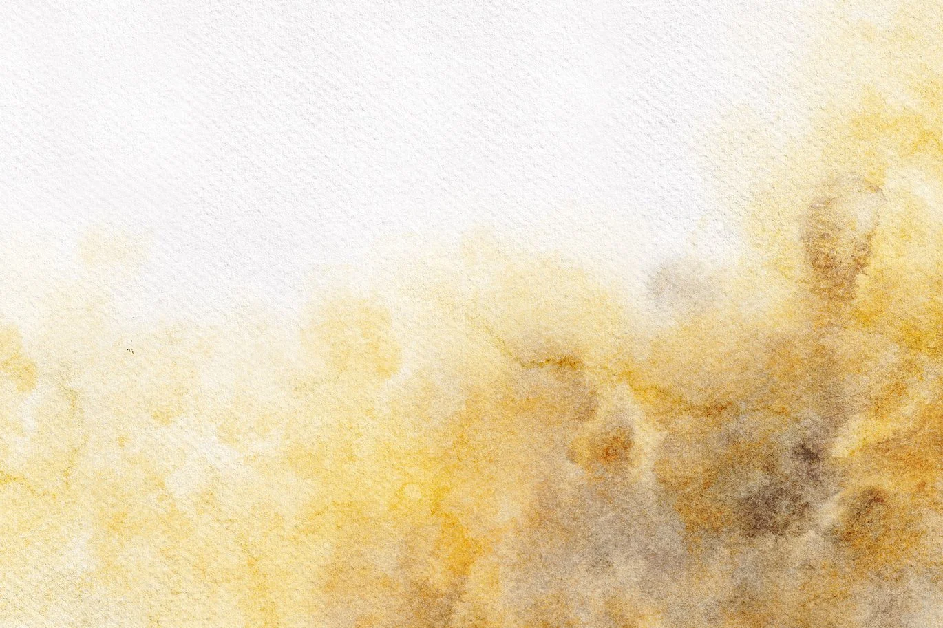 Procreate Watercolour Brushes