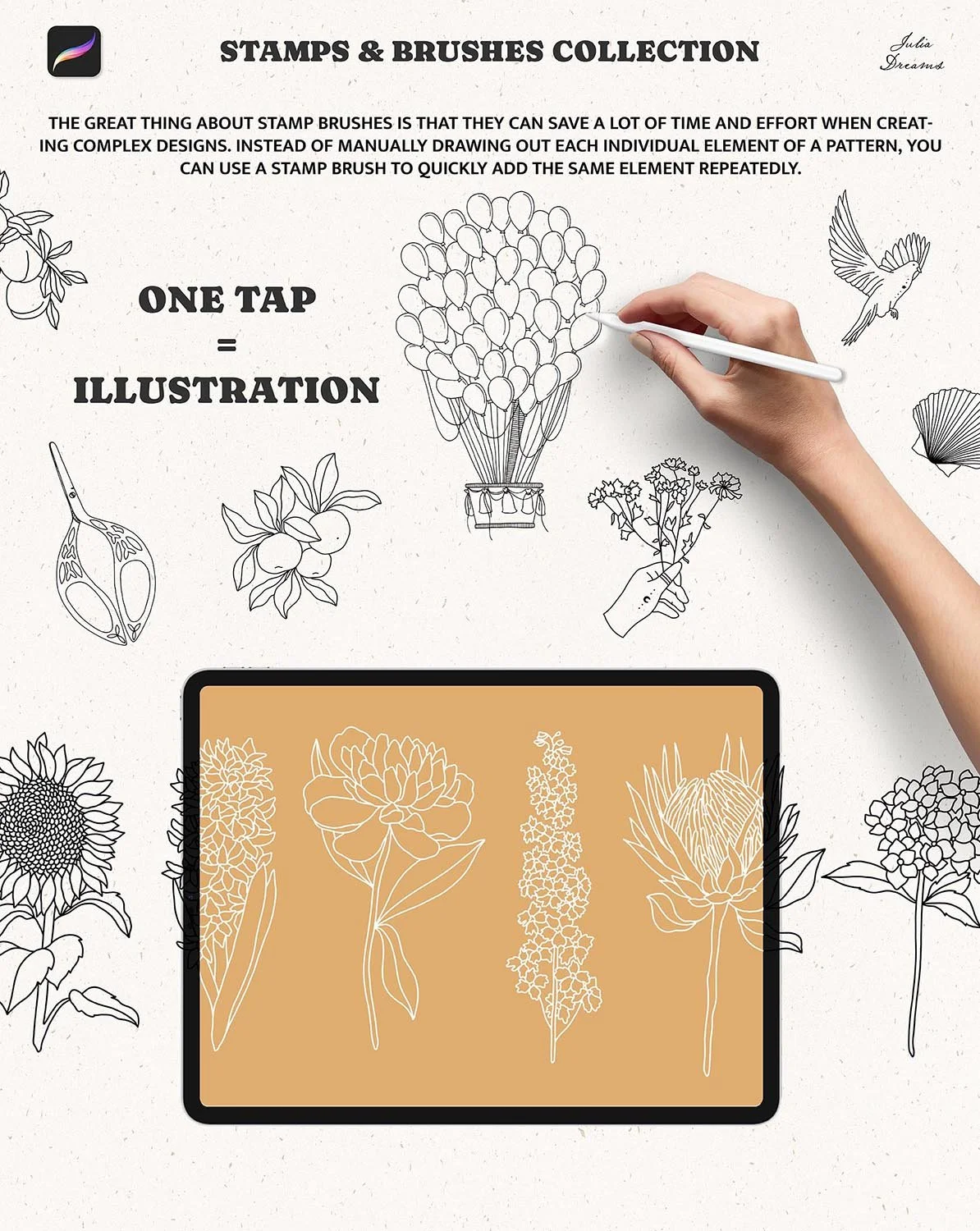 Stamp Brushes Procreate Flowers Frames Floral