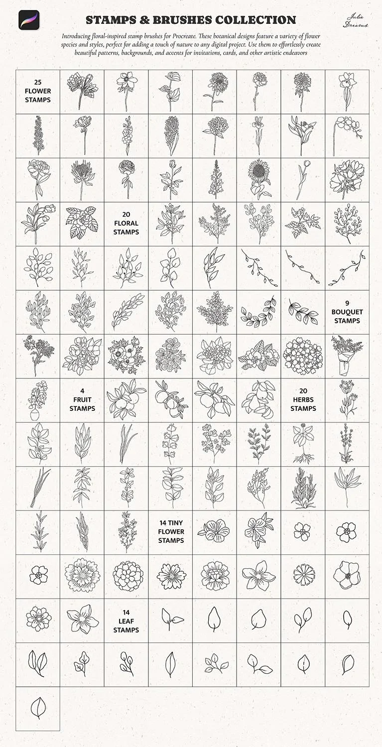 Stamp Brushes Procreate Flowers Frames Floral