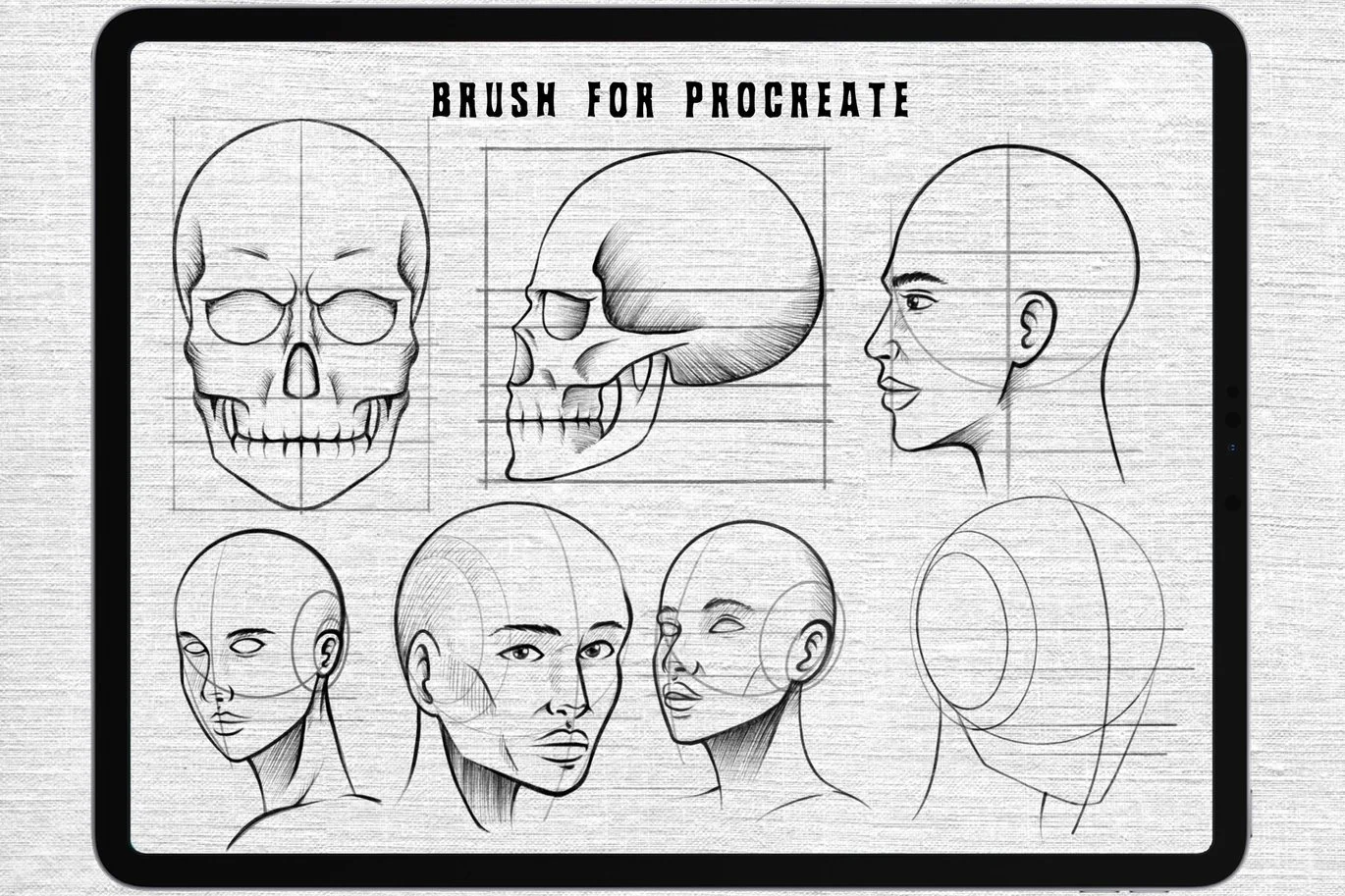 Face Skecth Brush For Procreate