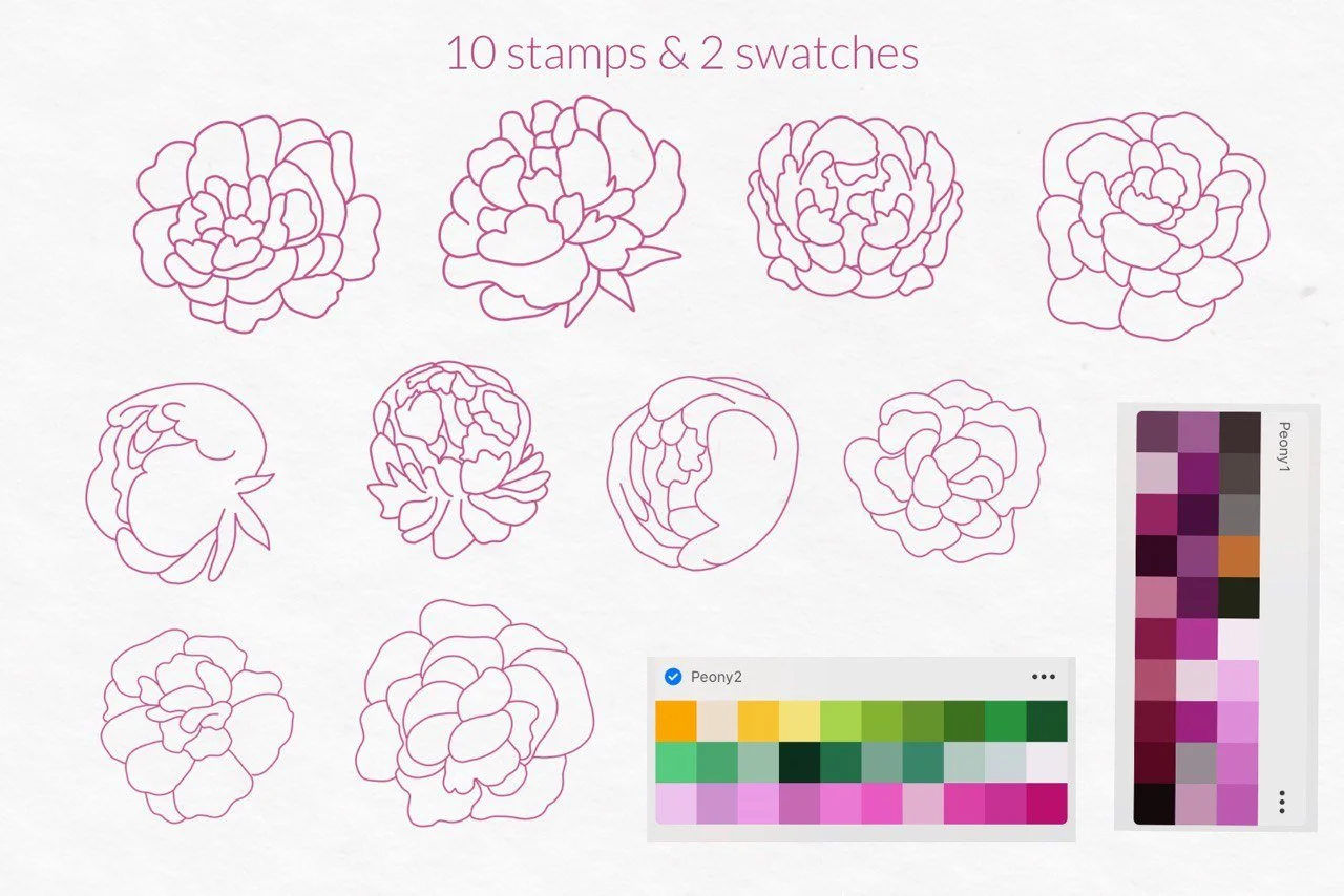 Peony Procreate Stamp Brushes Line Art