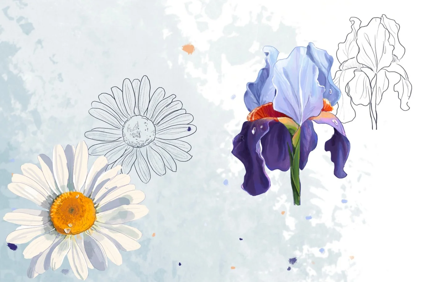 10 Flowers Stamps Procreate