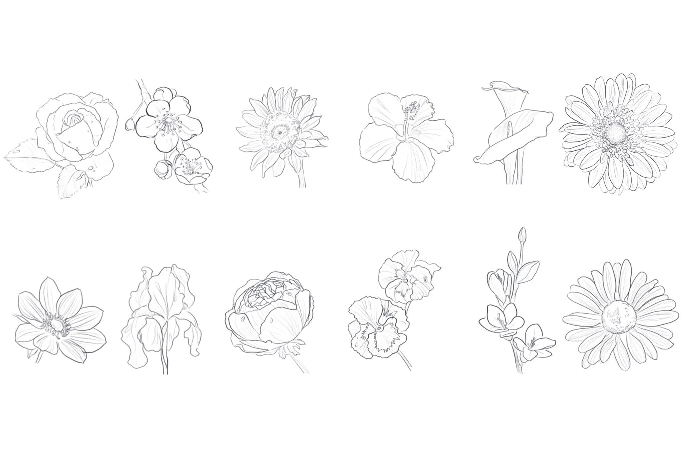 10 Flowers Stamps Procreate