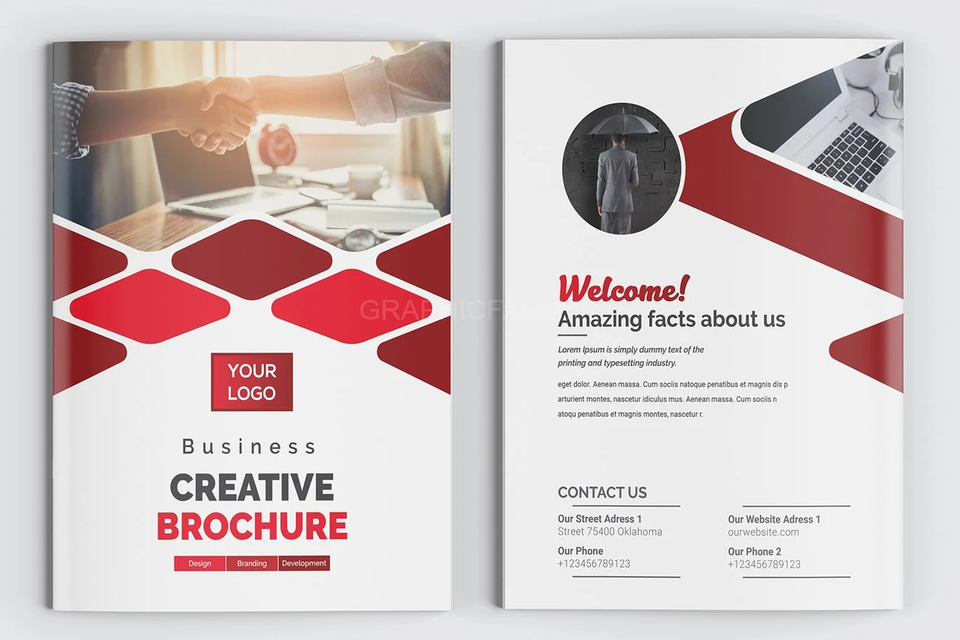 Bifold Brochure