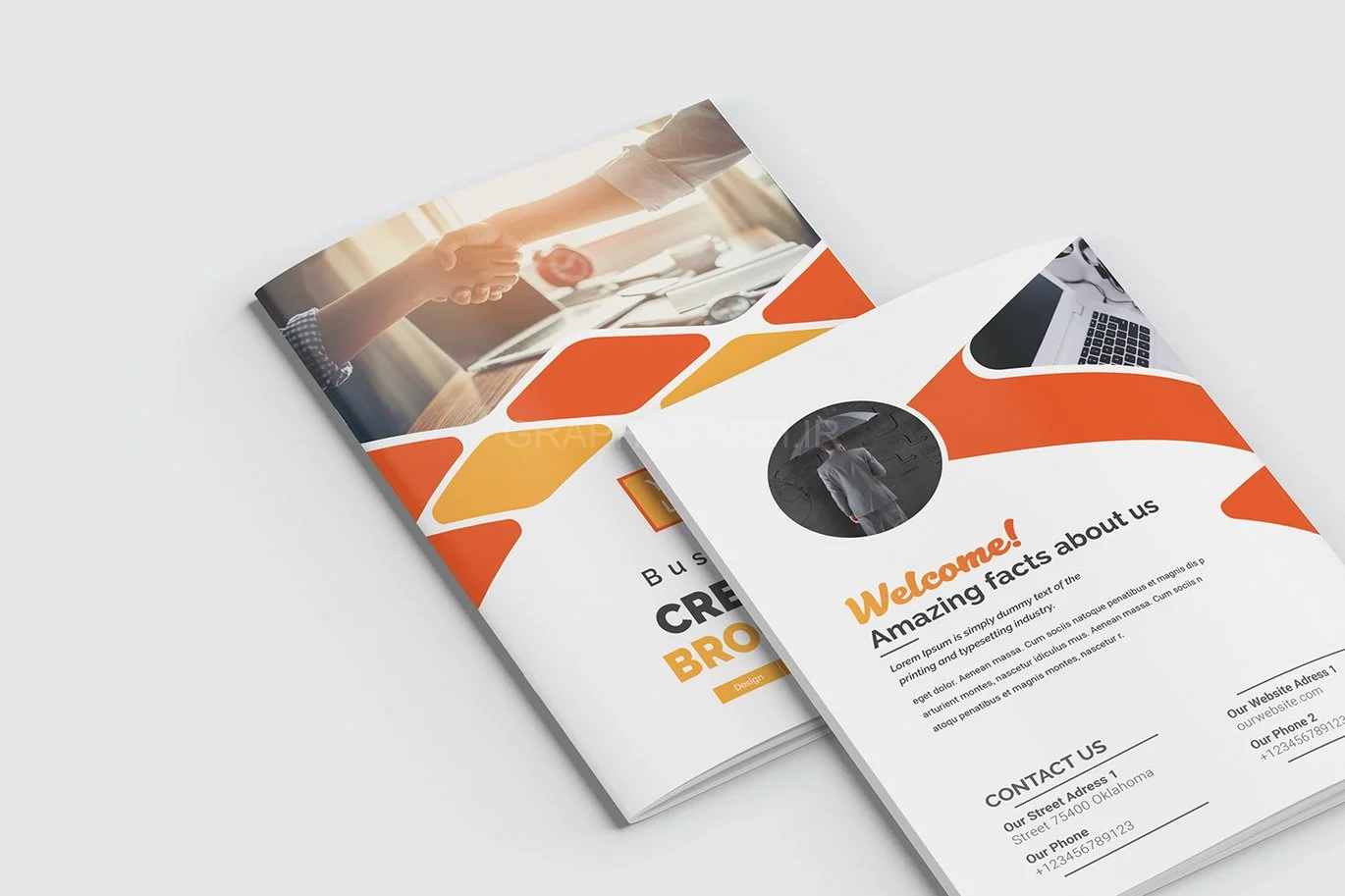 Bifold Brochure