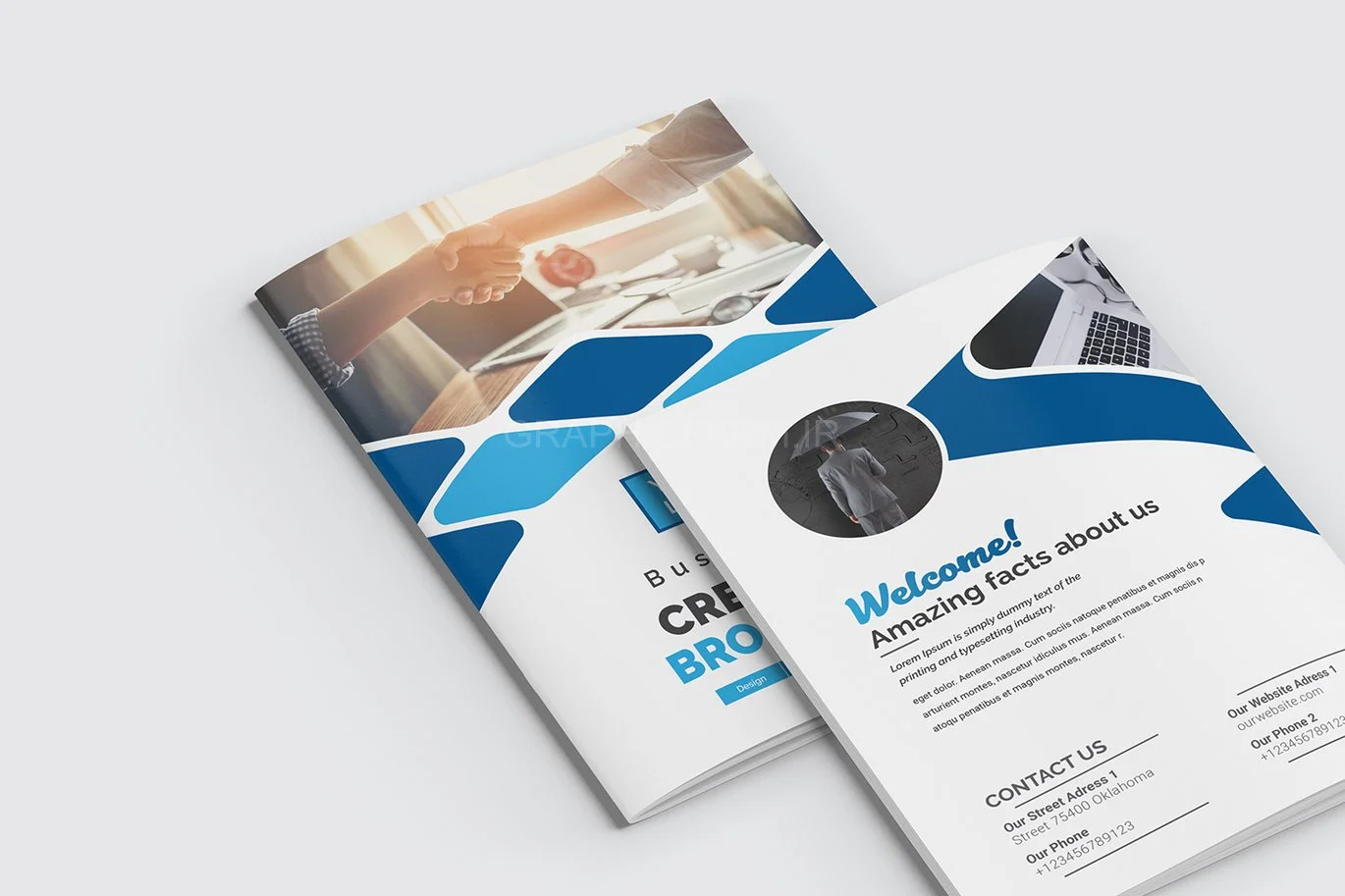 Bifold Brochure