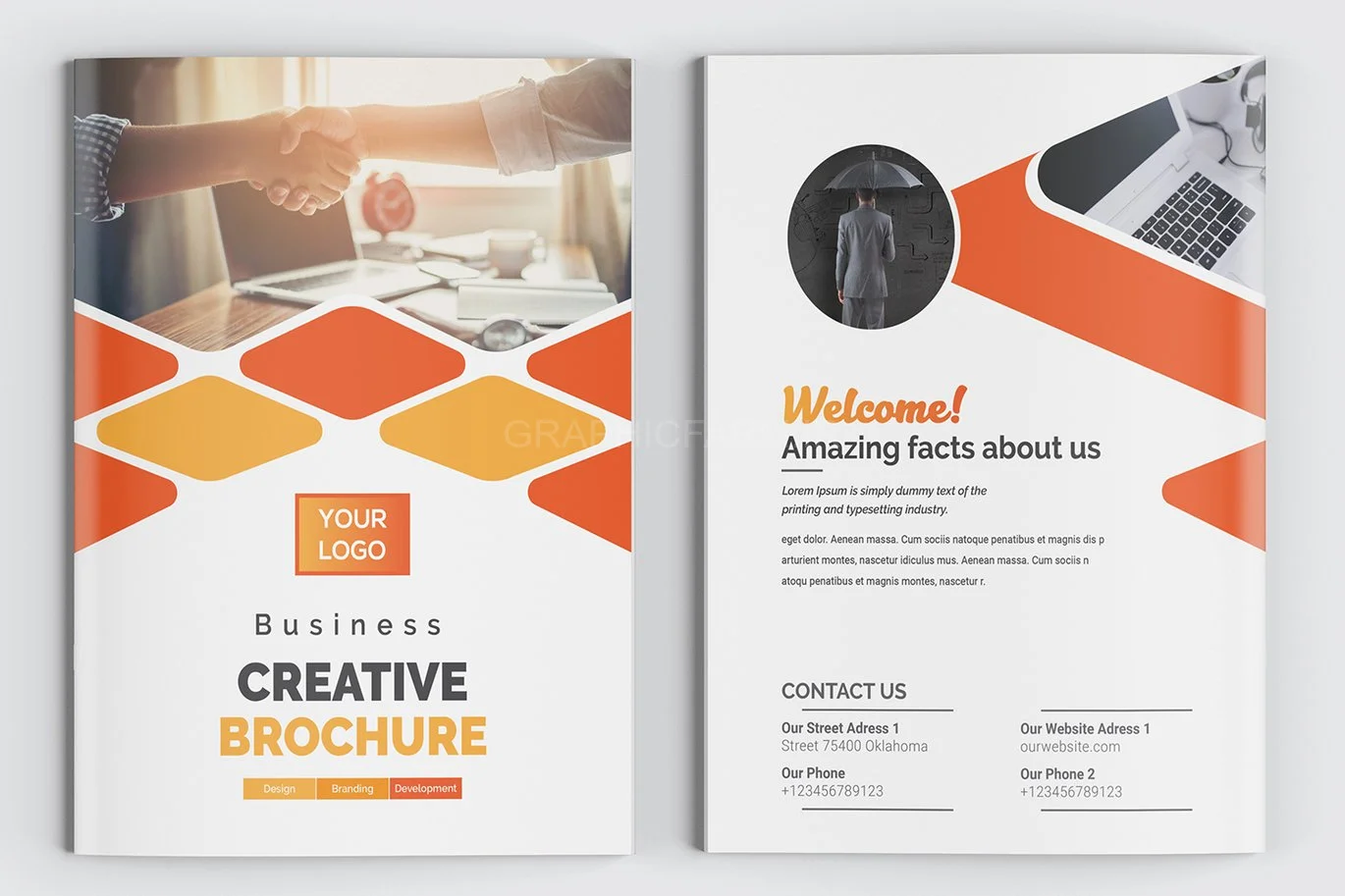 Bifold Brochure