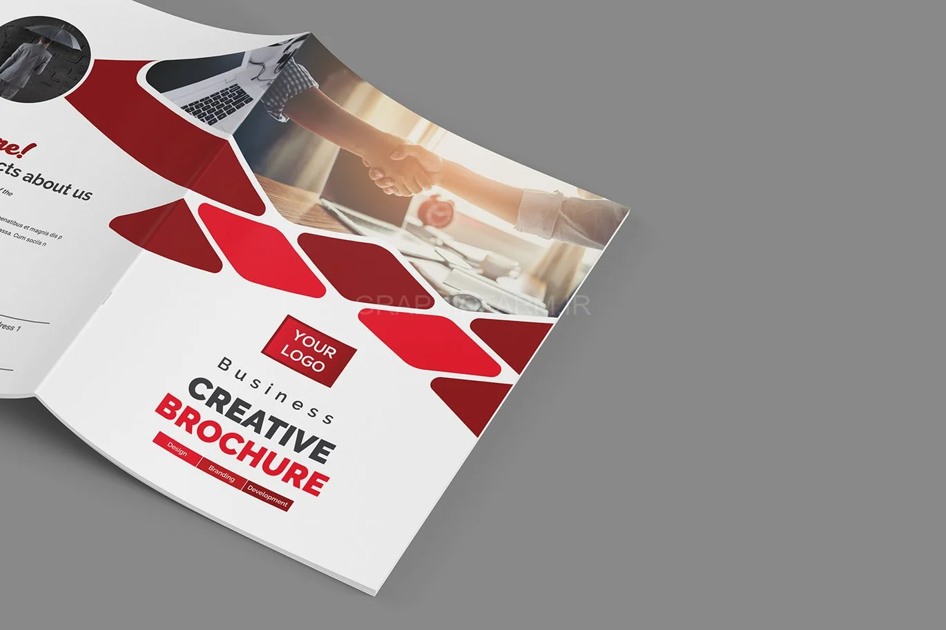 Bifold Brochure