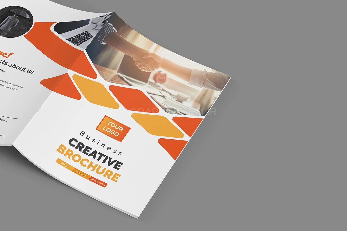 Bifold Brochure