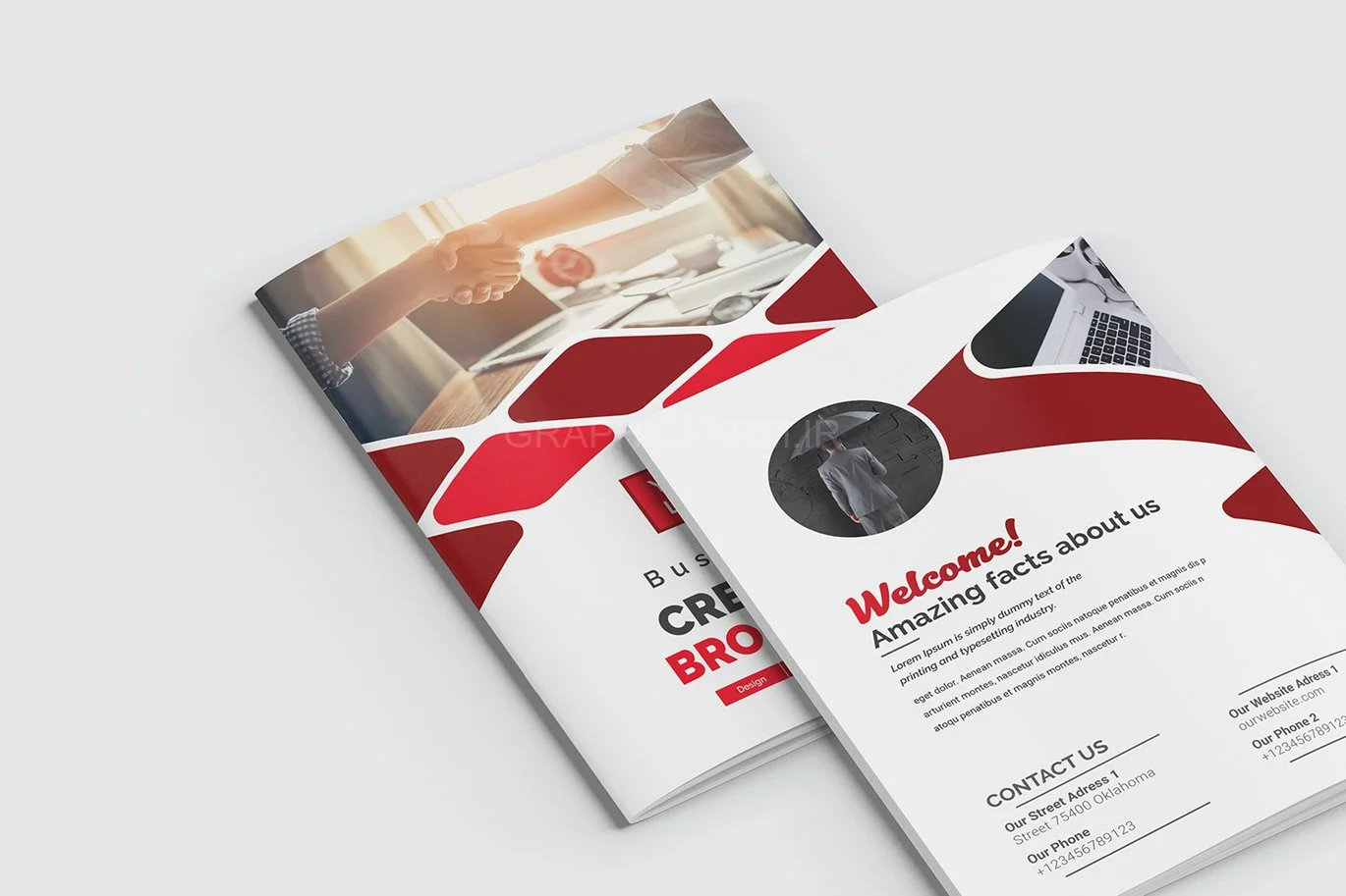 Bifold Brochure