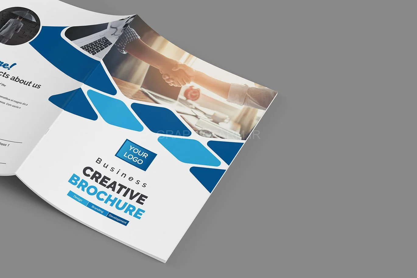 Bifold Brochure