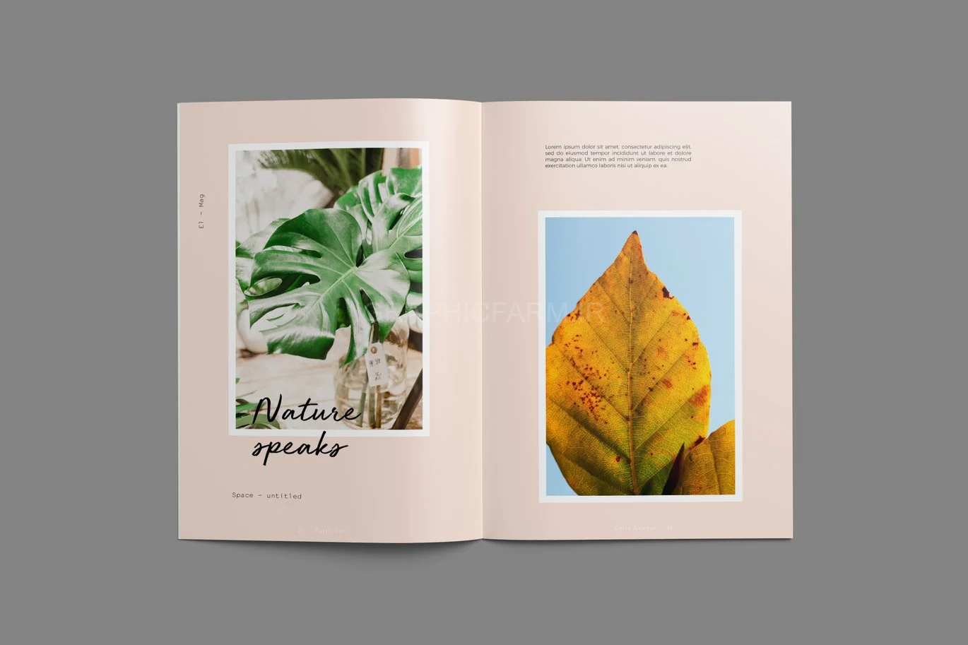 Photography Portfolio Brochure Template