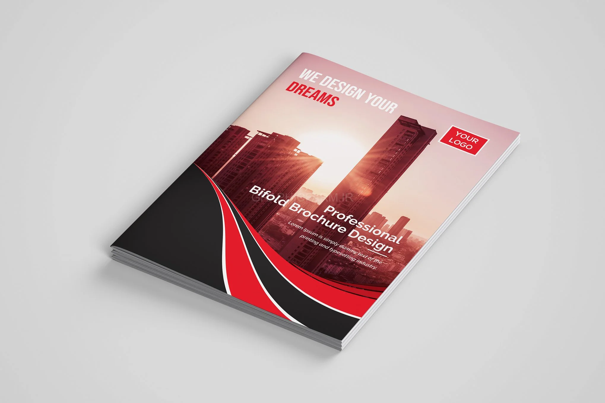 Bifold Brochure