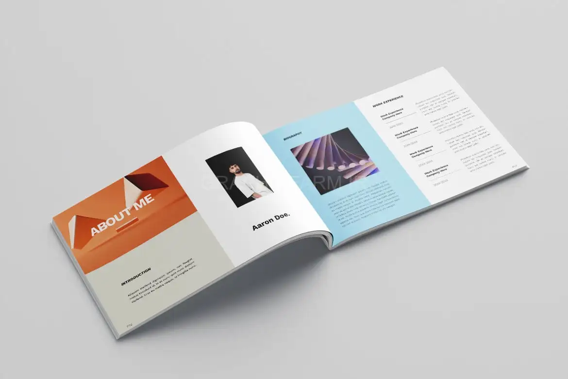 Graphic Design Portfolio Vol.12