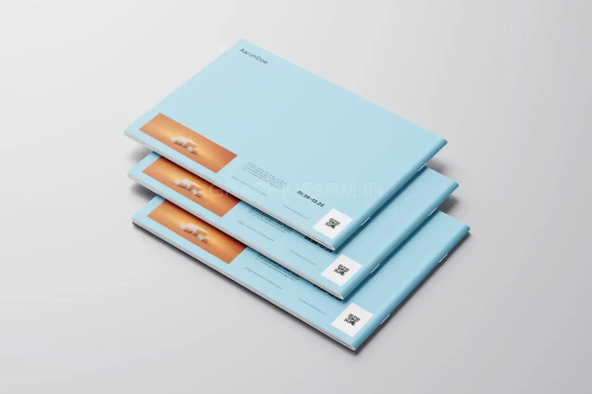 Graphic Design Portfolio Vol.12