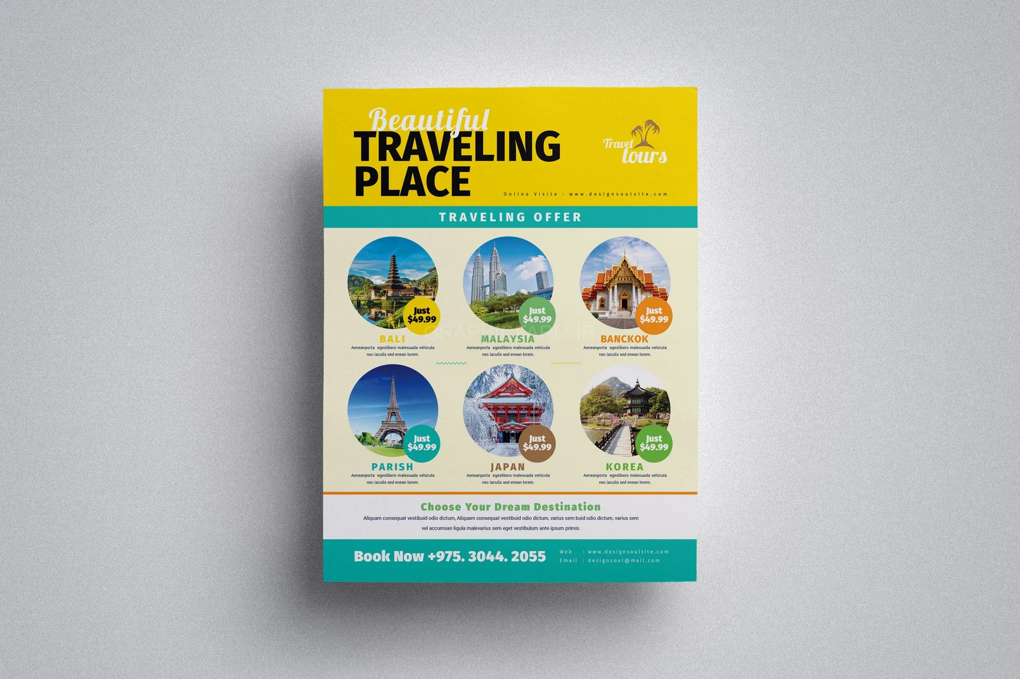 Travel Flyer