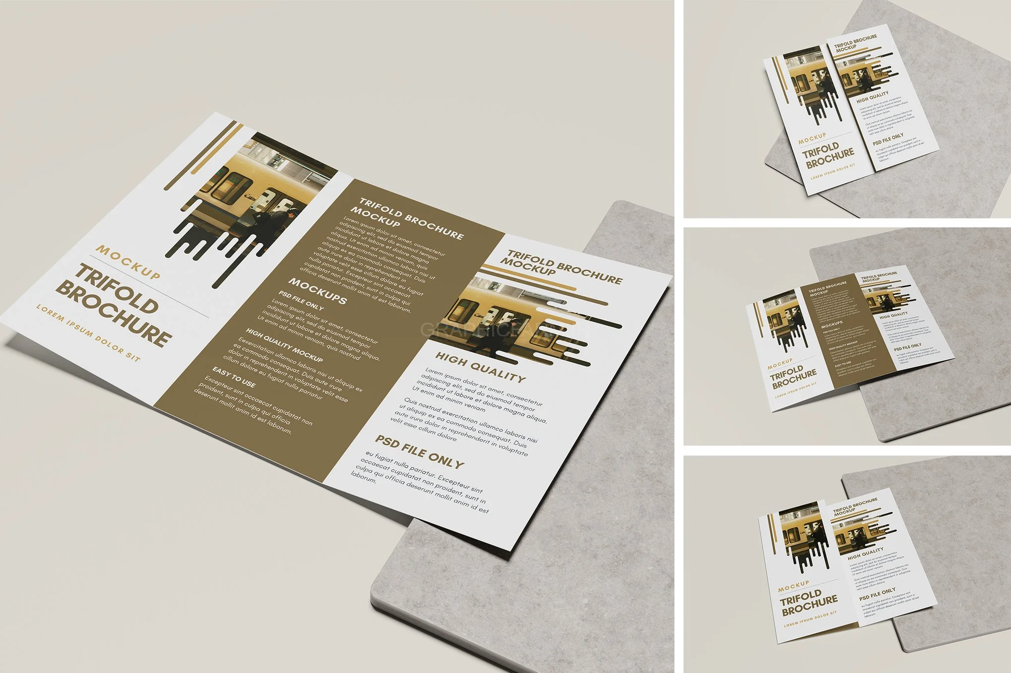 Trifold Brochure Mockup