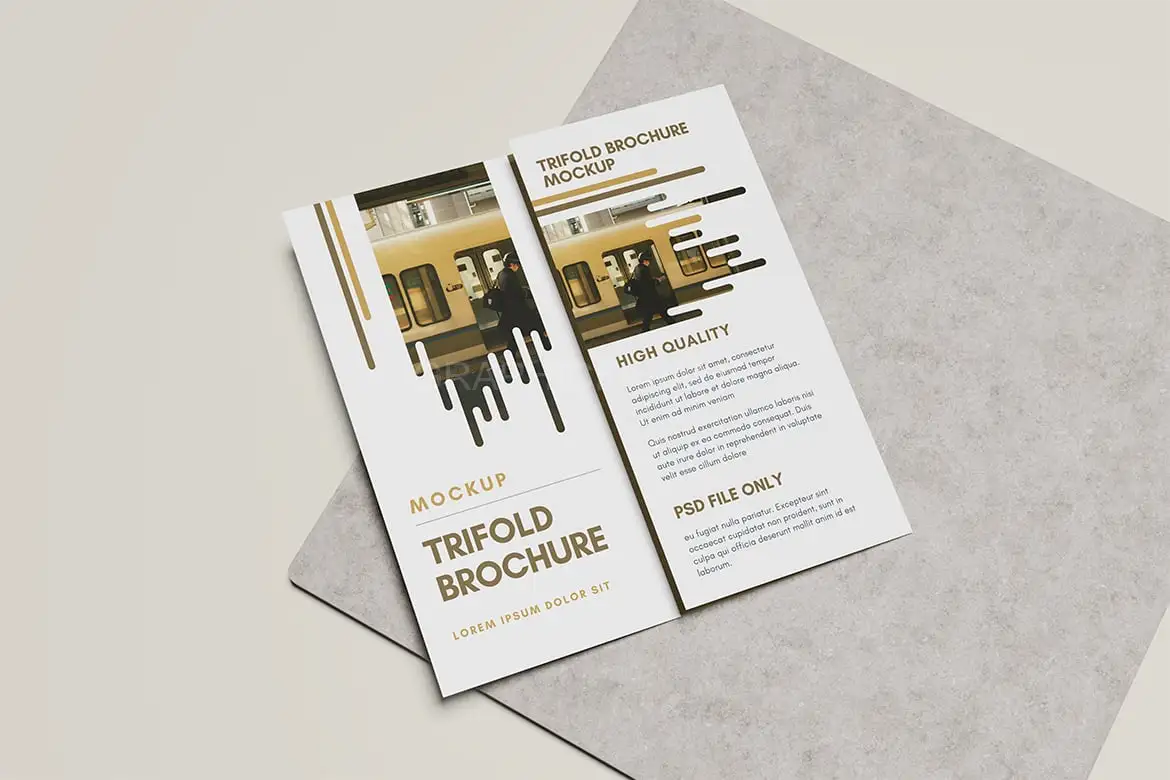 Trifold Brochure Mockup