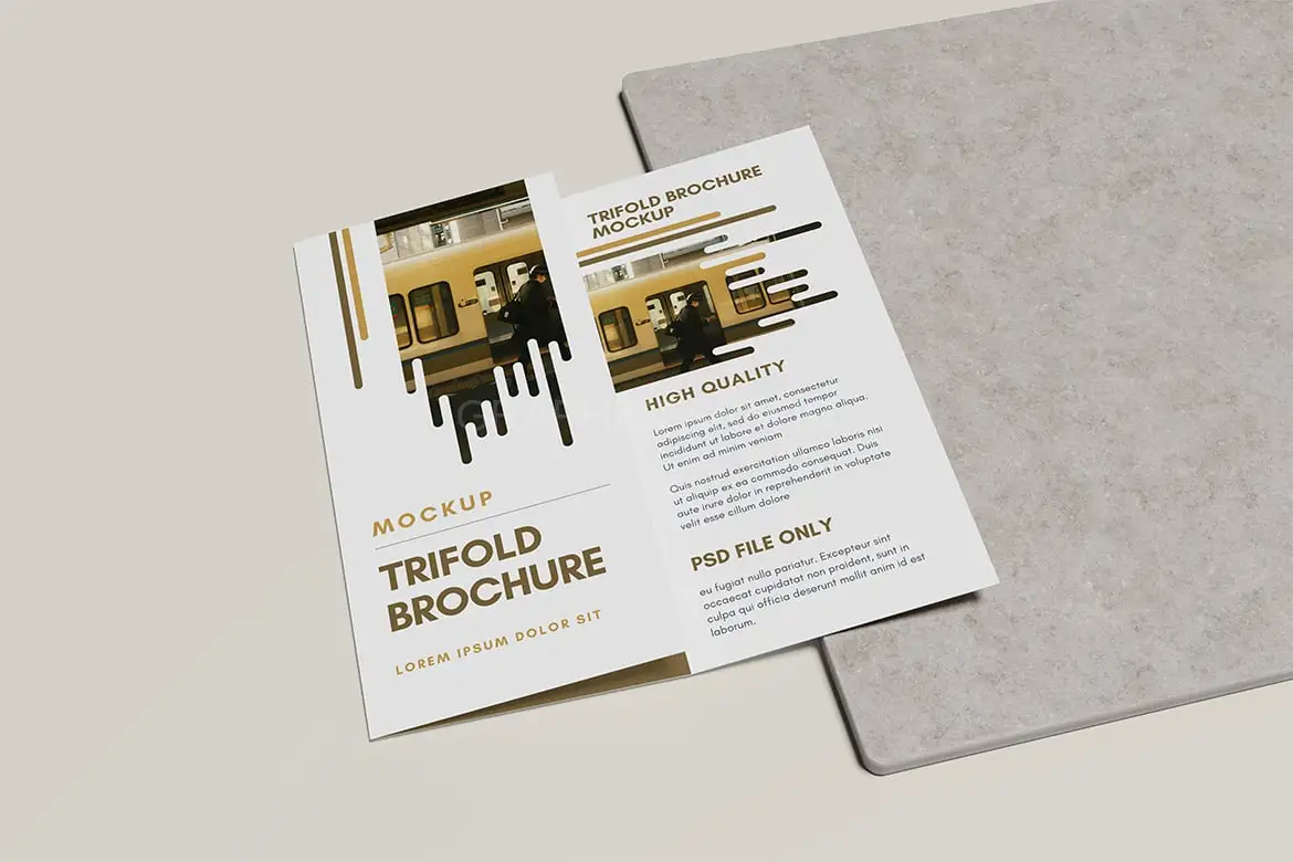 Trifold Brochure Mockup