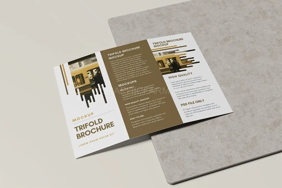 Trifold Brochure Mockup