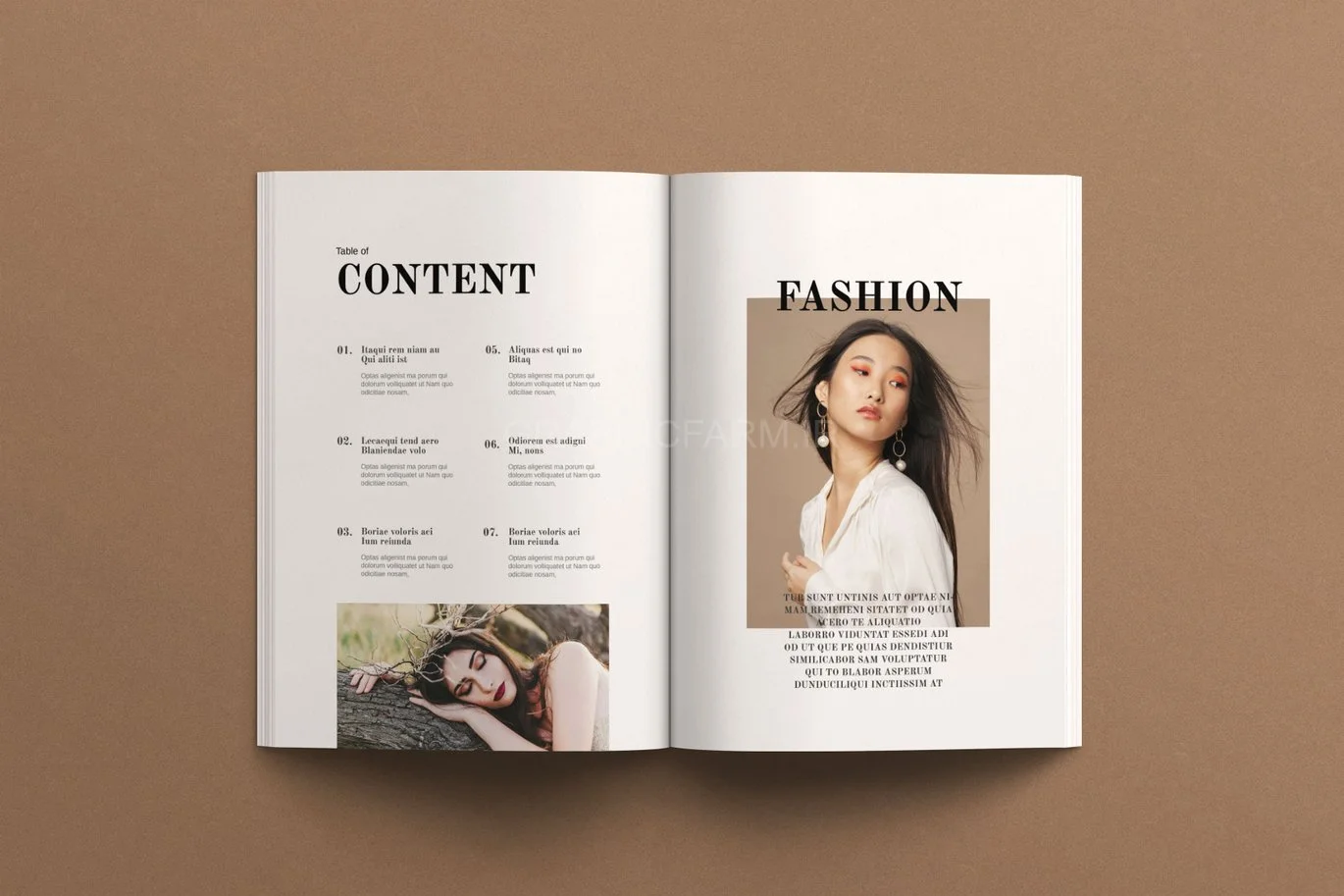 Lookbook Template